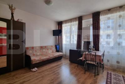 Apartament cu 2 camere semidecomandat, mobilat în Sopor - 4