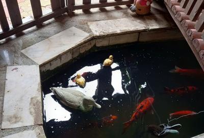 Casă cu 4 camere în Central - 6