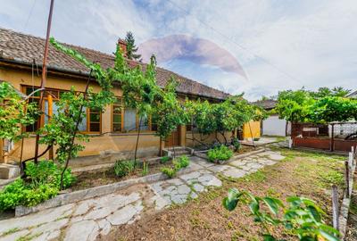 Casa cu 4 camere ?i teren 540 m in Pecica Zona ex... - 8