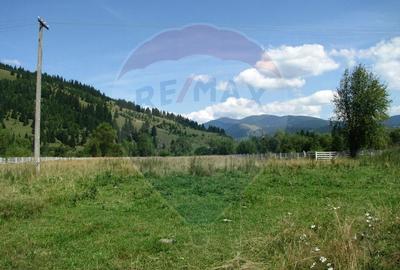 Teren de 13650 mp, în Dorna-Arini - 6