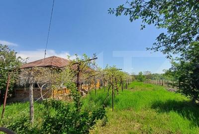 Teren de vanzare, 7300 mp, zona Danesti