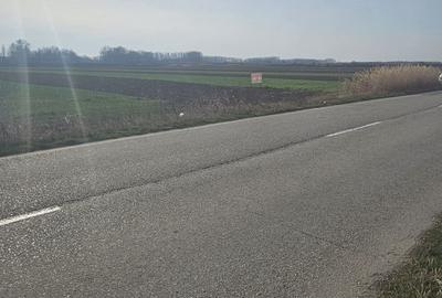 Spațiu comercial, în Chiajna - 2