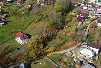 Teren de vanzare in comuna Arefu, jude? Arge?. - 16