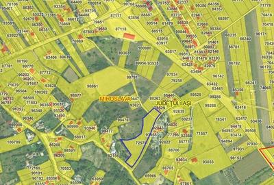 Ciurbesti zona Bisericii TEREN 7000mp intravilan cu utilitati acces si din sos d - 3