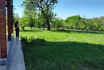 Spațiu comercial, în Băbana - 3