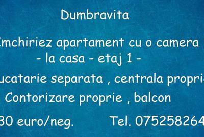 Garsonieră decomandată în Dumbrăvița - 1