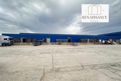 3 Hale Clasa A | 11.250mp Construiti 25.450mp Teren | Freidorf - 9