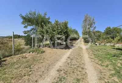 Casa singur in curte cu teren liber 2667 mp 6 camere 4 bai Daia - 8