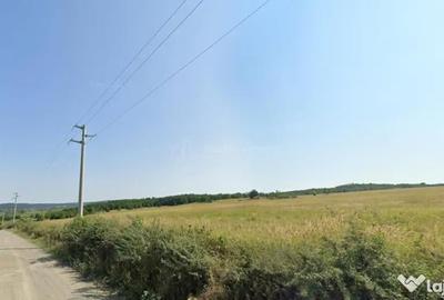 Teren de 127500 mp, în Forotic - 6