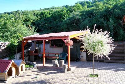 Duplex cu 5 camere cu Teren 350 Mp în Baciu - 15