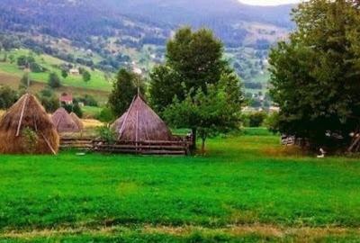 Teren de 8235 mp, în Rogojel - 1