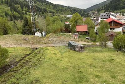 Teren de 2770 mp, în Est - 8