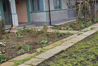 Casă cu Teren 1050 Mp în Cocora - 10