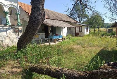 Vanzare casa la tara - 2