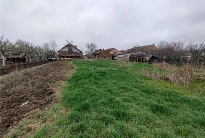 Casă cu Teren 1798 Mp în Iecea Mare - 15