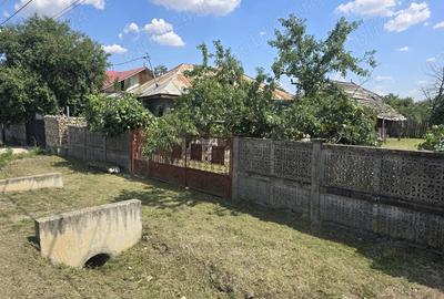 Casă în Bolovani - 3