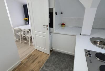 Garsonieră Parcul Carol / Unirii / Palatul Parlamentului - 4