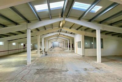 Hala de inchiriat in Satu Mare I Parc Industrial ARELI I 900 mp - 2