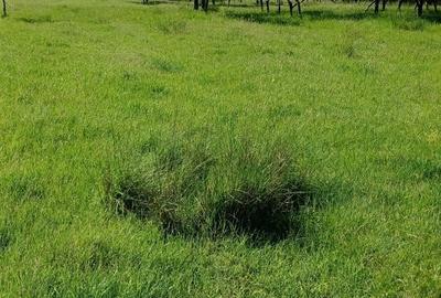 Teren de 400 mp, în Central - 2