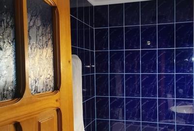 Apartament 3 camere Str. Aleea Florilor - 8