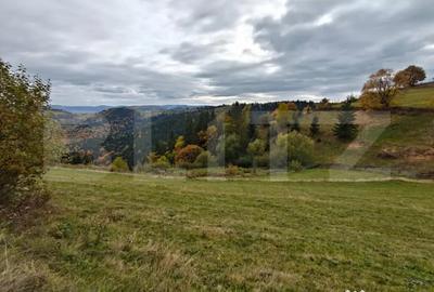 Teren de 6200 mp, în Florești - 4