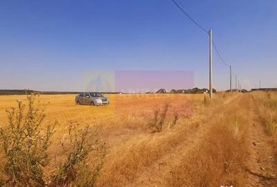 Teren de 2000 mp, în Brănești - 3