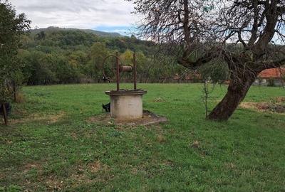 Spațiu comercial, în Novaci - 2