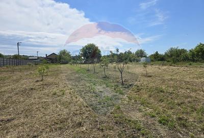 Teren 2,500mp Simnicu de Sus / Strada Craiovei Teren 2,500mp Simnicu de Sus / Strada Craiovei - 2