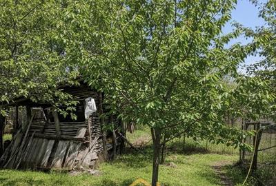 Spațiu comercial, în Podari - 1