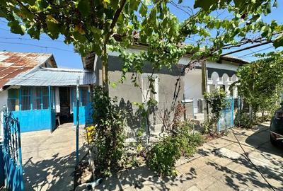 Casa Jiana Veche - 4