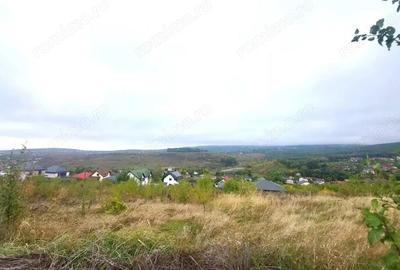 Teren de 1500 mp, în Bârnova - 7