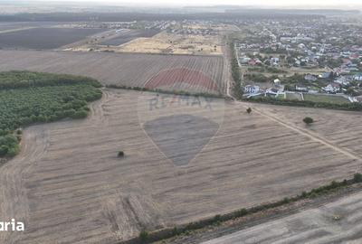Teren de 40300 mp, în Corbeanca - 2
