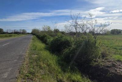 Teren de 500 mp, în Păulești - 5