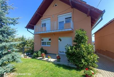 Casa -vila de vanzare in Reghin
