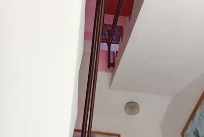Vand casa mare pretabila pensiune sau clinica si casa de locuit, in aceeasi curte - 8
