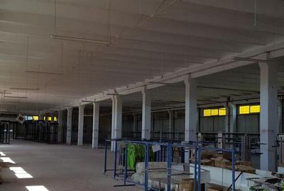 Spa?iu depozitare si productie Ciolpani - 20