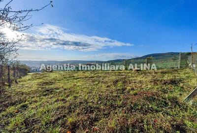 Teren intravilan 1438mp in Deva, situat pe Strada Iosif Vulcan. - 8