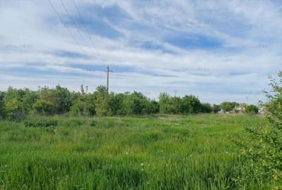 Teren de 1400 mp, în Joița