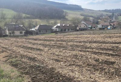 Spațiu comercial, în Remetea - 3