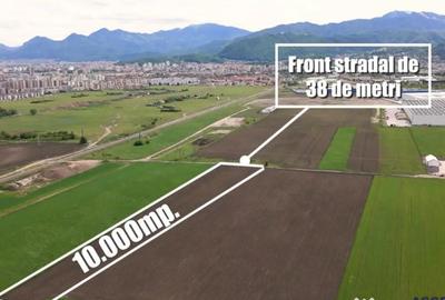 Teren de 10000 mp, în Griviței - 5