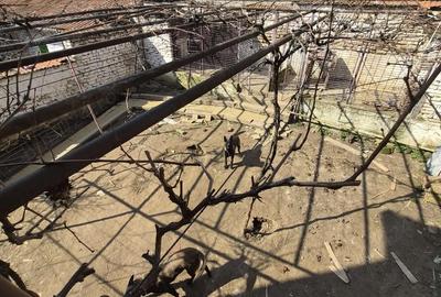 Casă cu 2 camere cu Teren 232 Mp în Central - 1