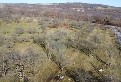 Teren agricol extravilan de 20146 mp, în Dâmbul Rotund - 15