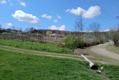 Teren Construcții intravilan de 1150 mp, în Dămienești - 1