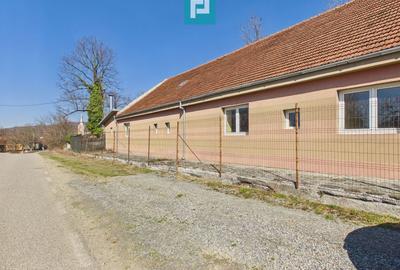 Casă individuală cu 8 camere cu Canalizare în Maciova - 18