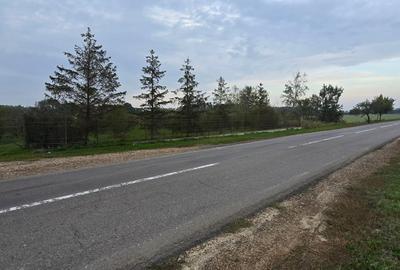 LIVADA  DE VANZARE FOCSANI-DUMBRAVITA  1,8  HA - 25