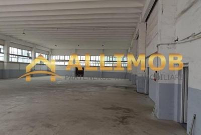Spațiu industrial, 590 mp în Mihai Bravu