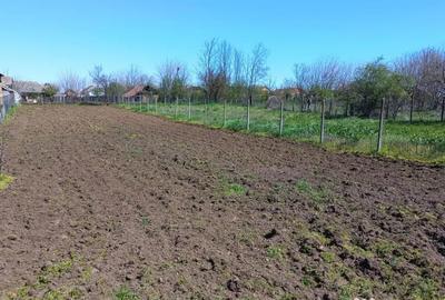 Casă cu 5 camere cu Teren 1250 Mp în Ciupercenii Noi - 5