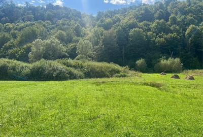 Teren in ROSIA Bihor 60mp - 2