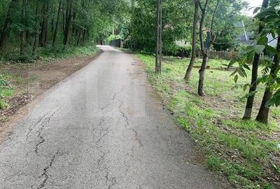 Teren Construcții intravilan de 400 mp, în Podari - 3