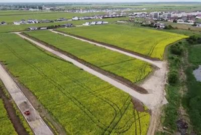 Teren de 406 mp, în Berceni - 9